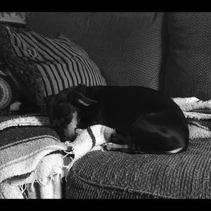 Meet your Posher, Andee